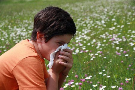 Весенняя аллергия у ребенка: правила поведения при поллинозе