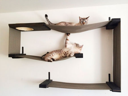 домик для кошки с котятами после родов | Дзен
