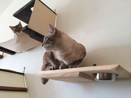 Мягкая мебель для кошек
