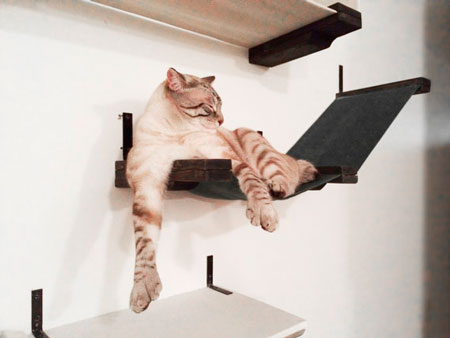 Домик для кошек: подвесная кошачья мебель (фото)
