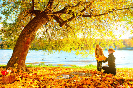 Картина из осенних листьев: 5+мастер-классов с пошаговым фото
