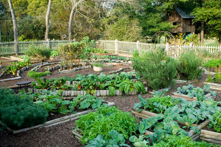 Сад и огород для ленивых: как облегчить работу на даче