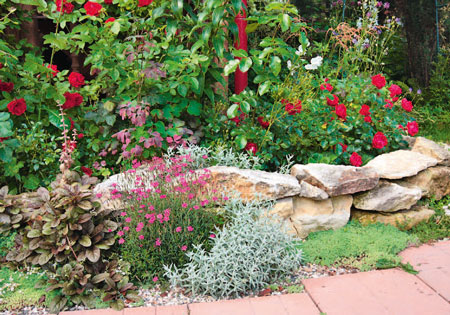 DIY flower beds and flower beds: a beautiful view and easy care