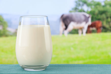 Молочный белок положительно влияет на уровень глюкозы в крови