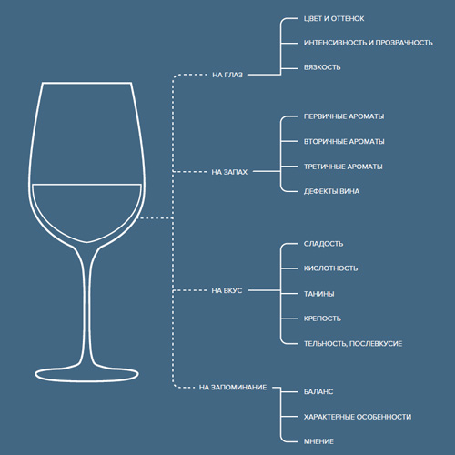 Как дегустировать вино