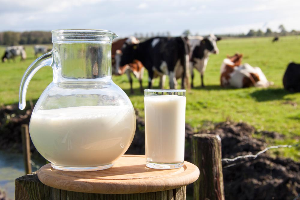 5 фактов о молочных продуктах, о которых вы не знали