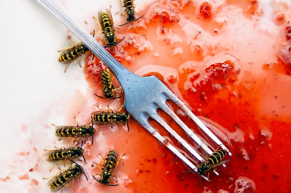 Аллергия на укусы ос и пчел