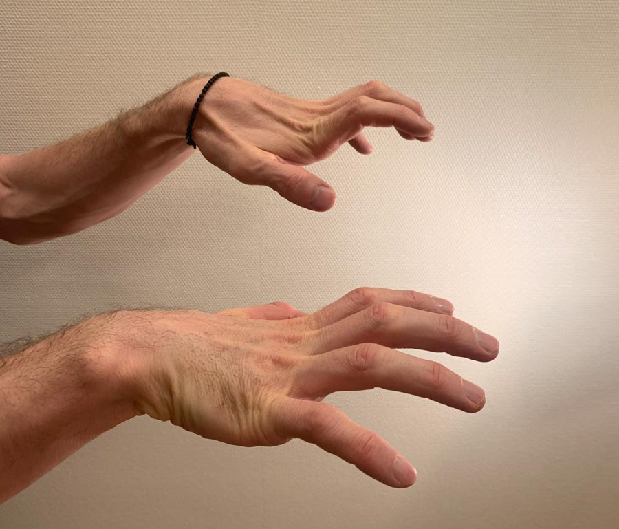 Фото кистей рук в разных положениях