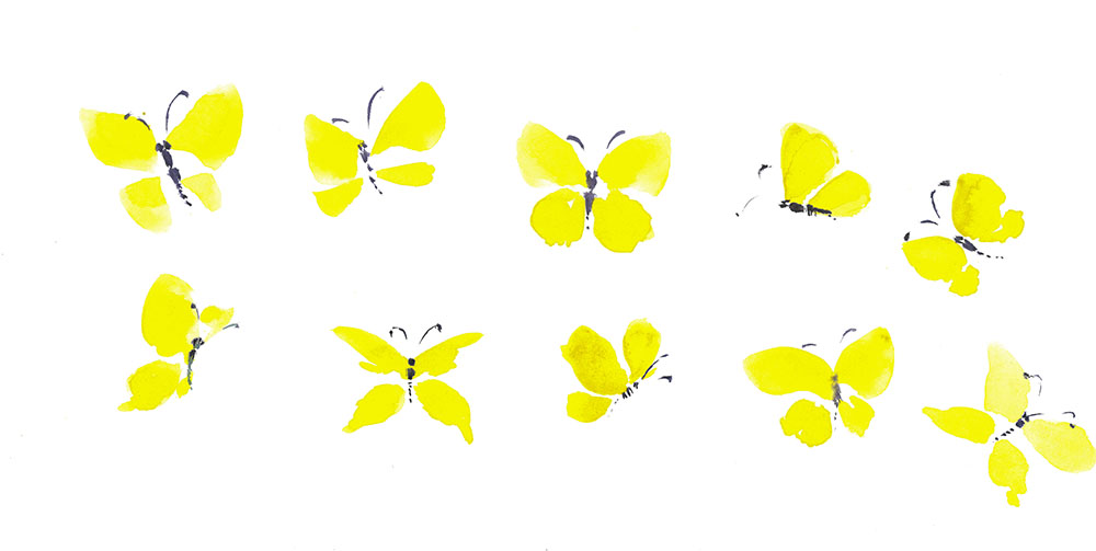 15 способов нарисовать красочную бабочку