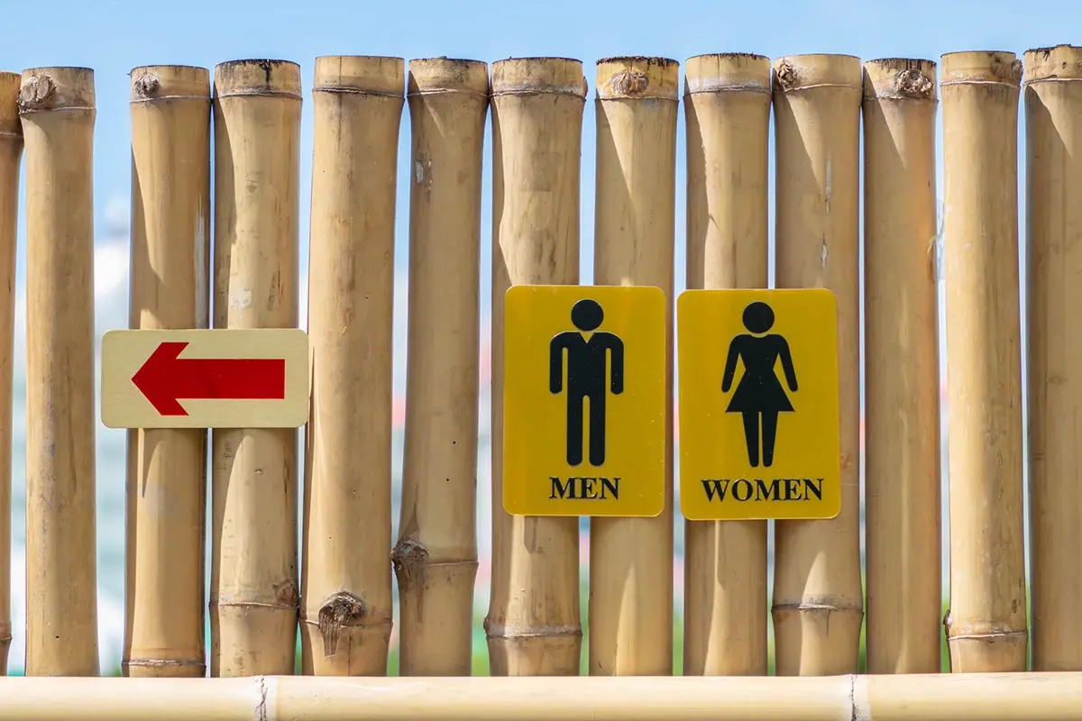 почему женщинам можно заходить в мужской туалет | Дзен