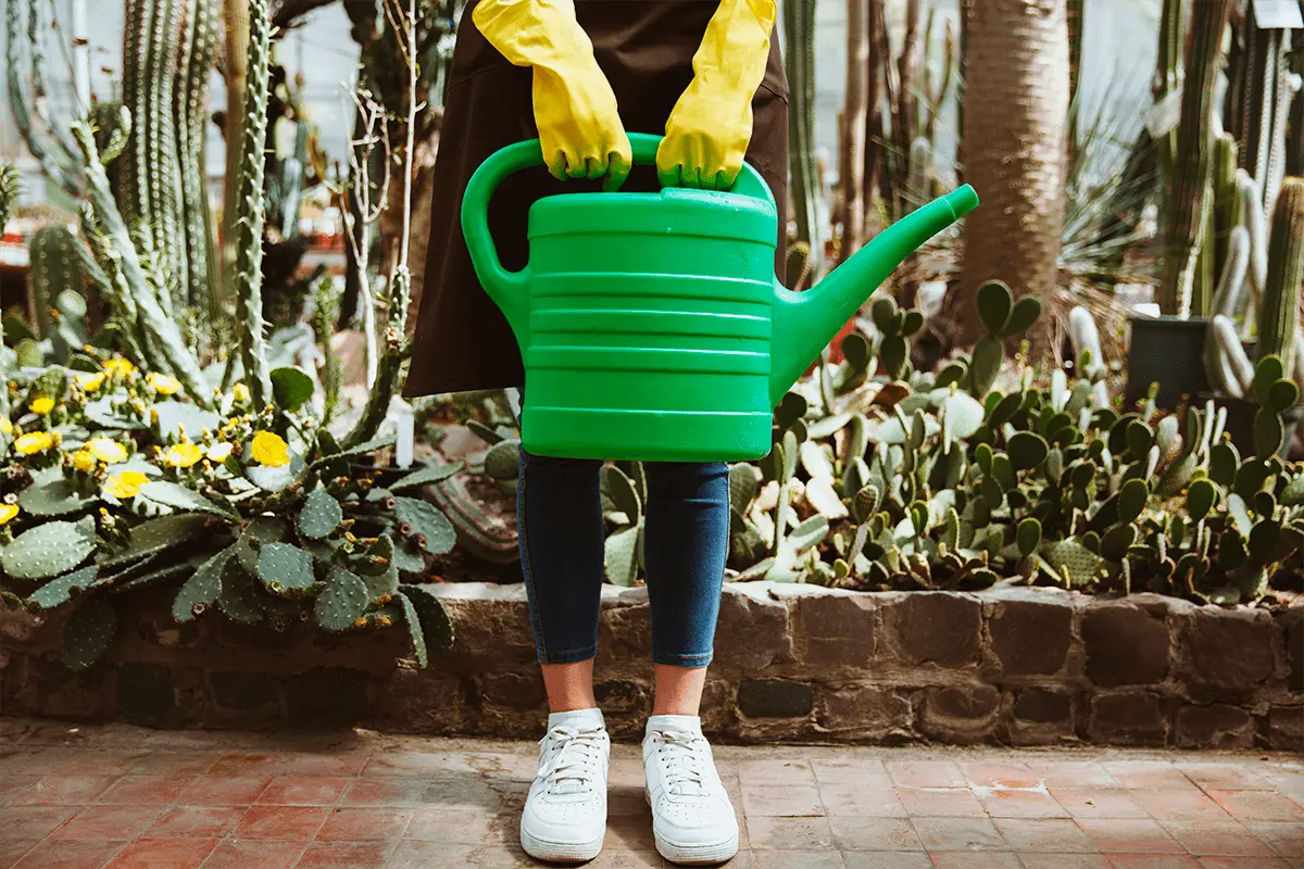 Почему эти растения под запретом