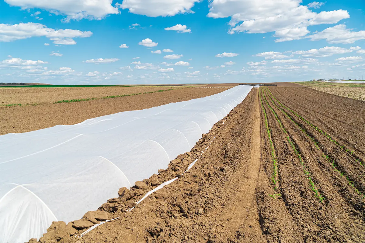 Как защищают растения те, кто выращивает урожай профессионально