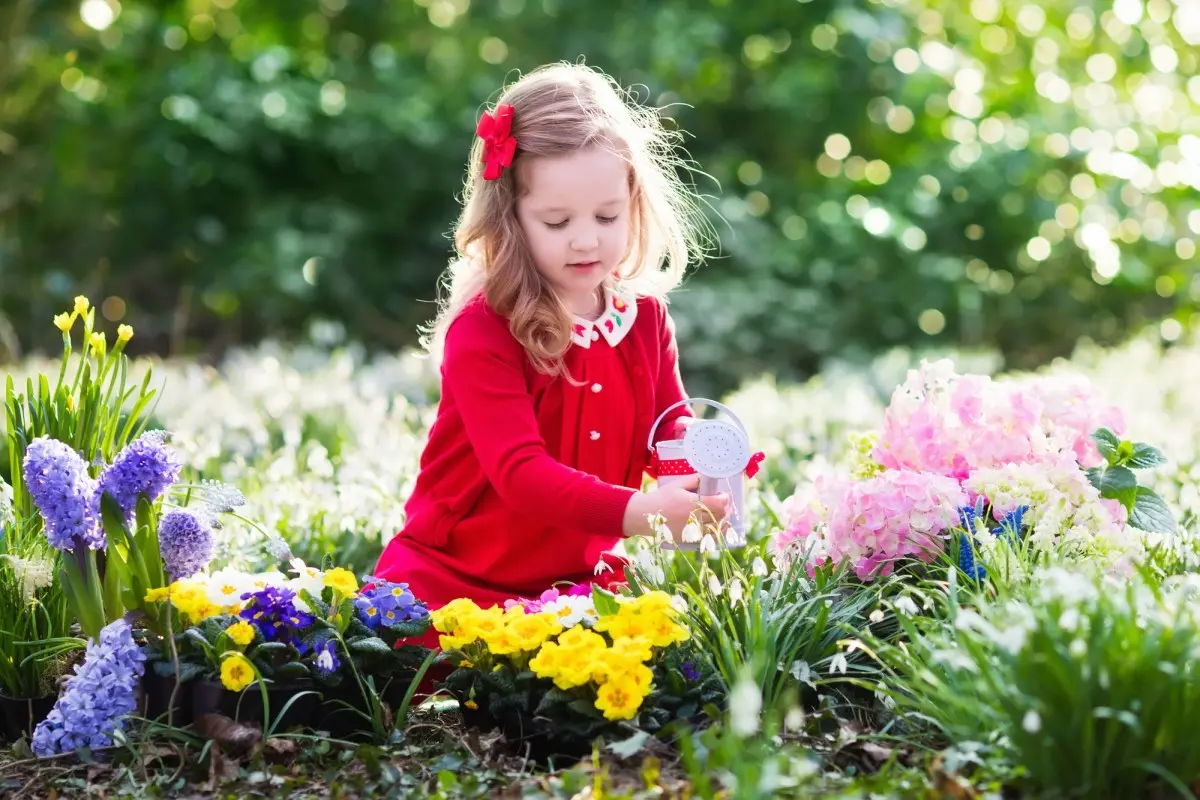 Однолетняя клумба: Какие однолетние цветы посеять, чтобы украсить сад своими руками