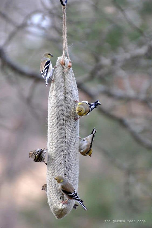 Кормушки для птиц из дерева