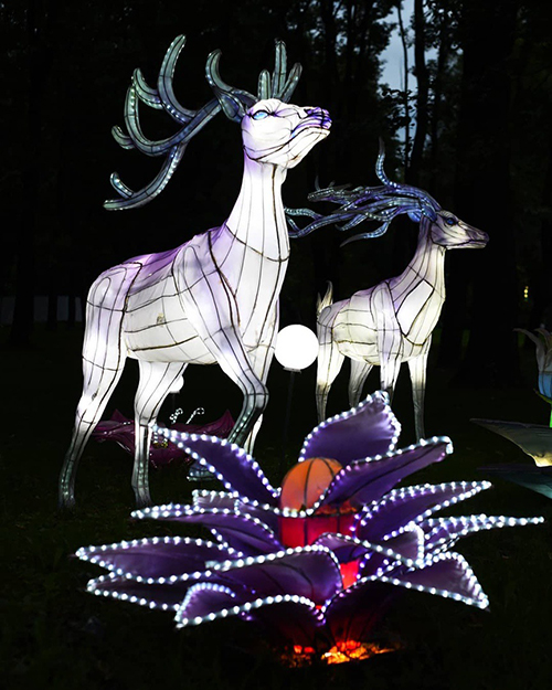 Фестиваль волшебных китайских фонарей
