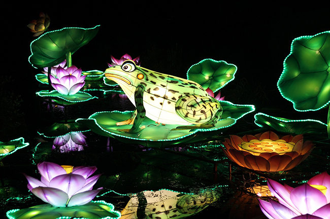 Фестиваль волшебных китайских фонарей